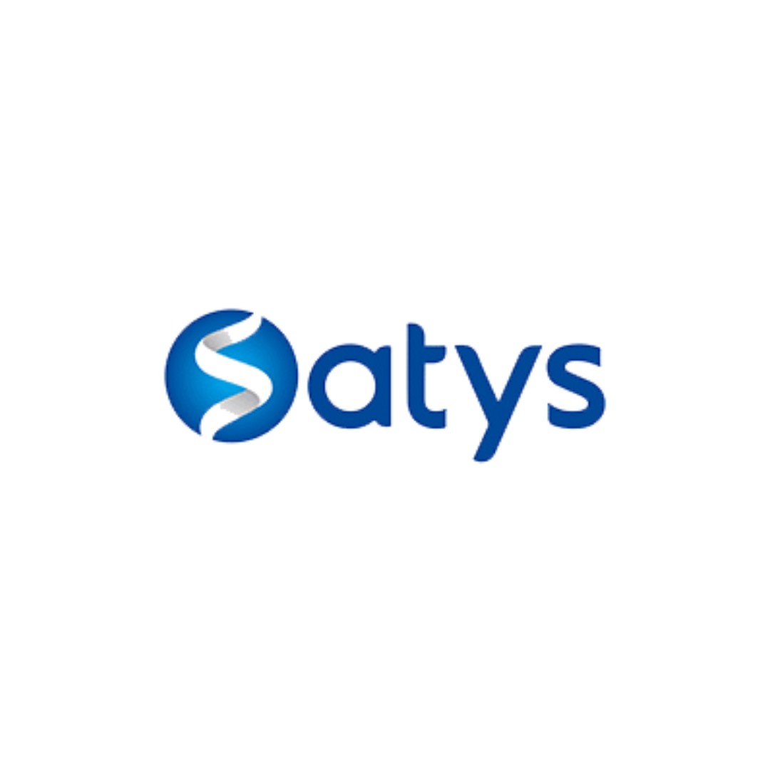 SATYS INTERIORS GROUP