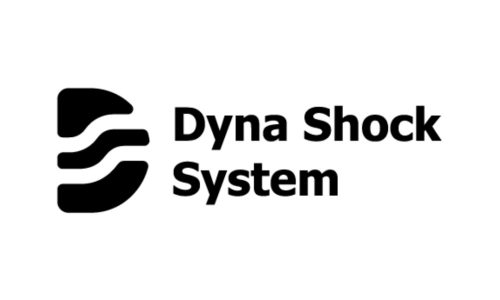 DYNA SHOCK SYSTEM